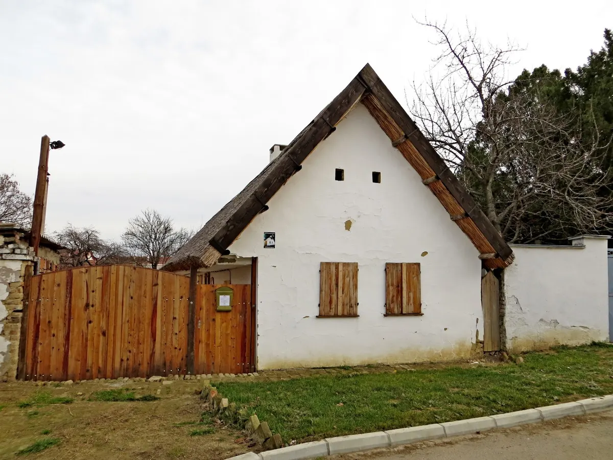 zbirka Branka Radičevića